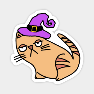 Halloween fat funny cat! Magnet