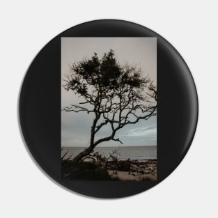 Driftwood Beach Tree Pin