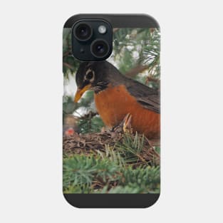 Momma American Robin In Her Nest Phone Case