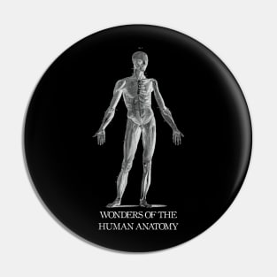 Wonders of the Human Anatomy Pin