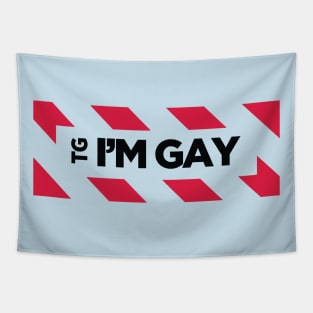 TG I'm Gay Tapestry