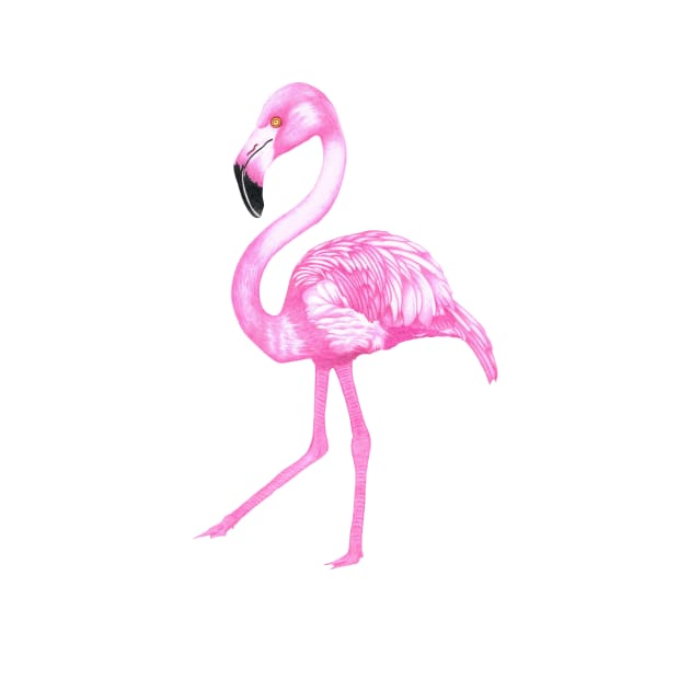 flamingo by SeymourArt