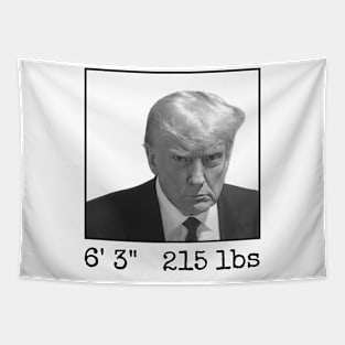 Donald Trump Mugshot Height & Weight Tapestry