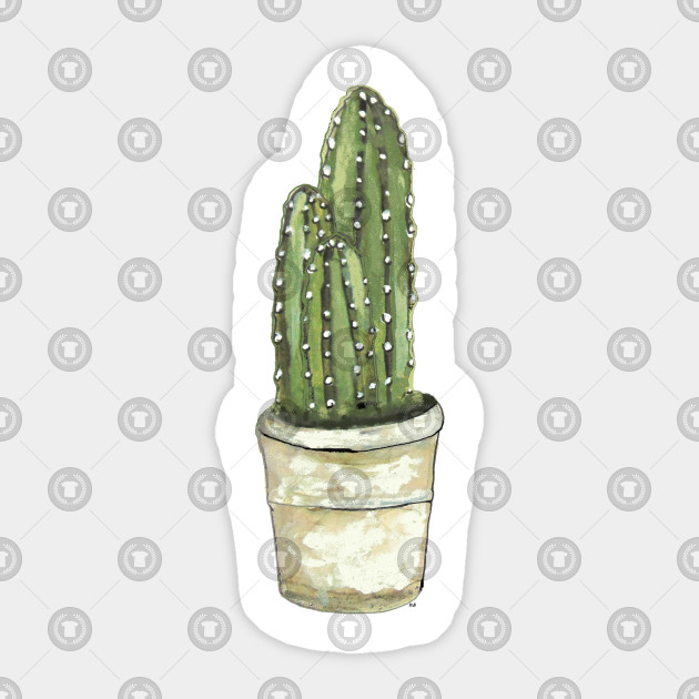 Cactus Size Chart