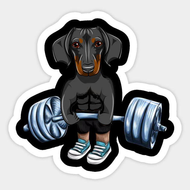 Dachshund Weightlifting Funny Deadlift Men Fitness Gym Gifts Dachshund Weightlifting Funny Deadlift Aufkleber Teepublic De Opt for something a little more adventurous with our hilarious selection of novelty gifts. dachshund weightlifting funny deadlift men fitness gym gifts