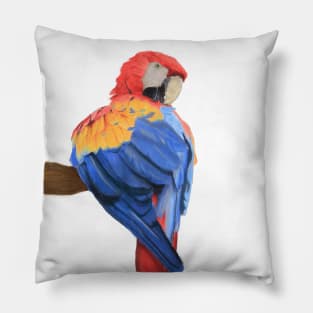 Scarlet Macaw Art Painting Pillow