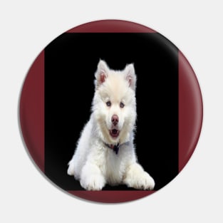 White dog Pin