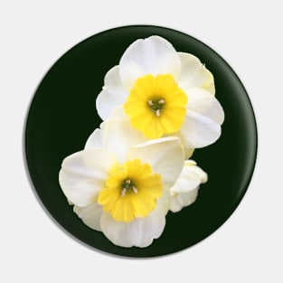 Twin Daffodils Pin