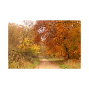 Forest Walk in Autumn T-Shirt