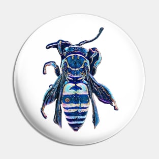 Blue moth bee wasp insect Pin