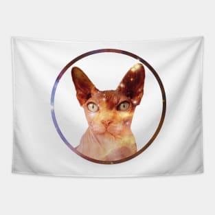 Cosmic Circle Sphynx Cat Tapestry