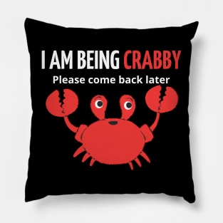 i am being crabby please come back later Pillow