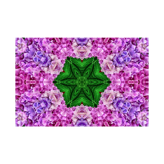Hydrangea Flowers - Kaleidoscope Effect by JimDeFazioPhotography