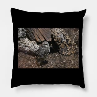 Burrowing Owl Pillow