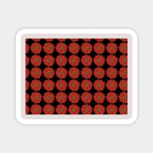 Red Daisies Pattern with Black Background Magnet