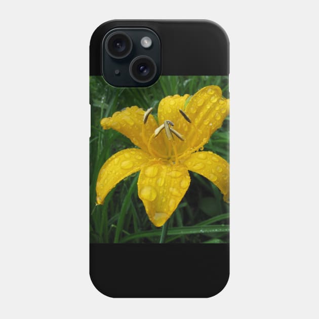 Wild lily after rain Phone Case by Zimart