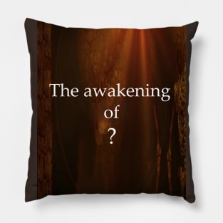 The awakening of Pillow