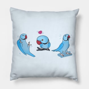 Three Blue indian ringneck doodles Pillow