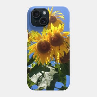 Sunflowers in summer Phone Case