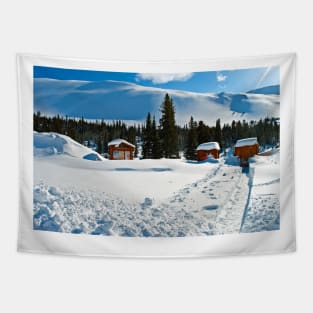 Canadian Rocky Mountains Icefields Parkway Canada Tapestry