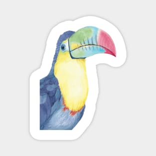 Watercolor keel-billed toucan painting bird Magnet