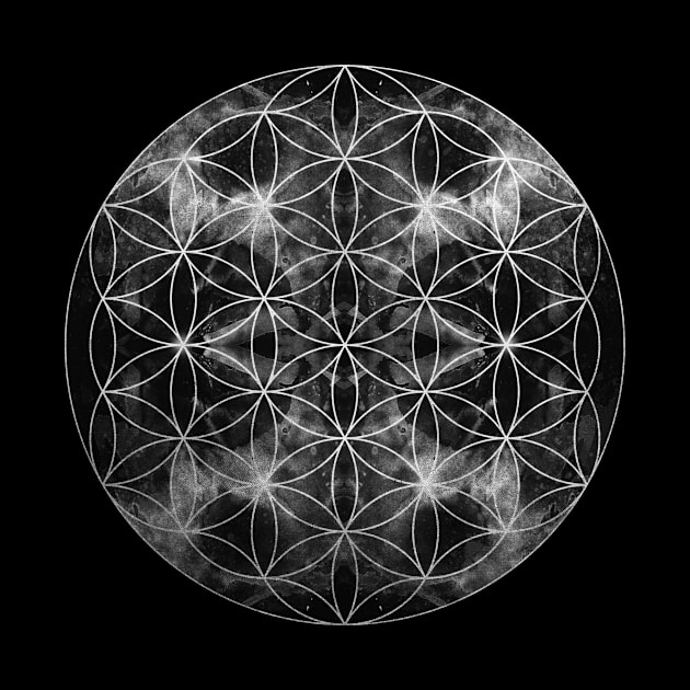 flower of life by filippob