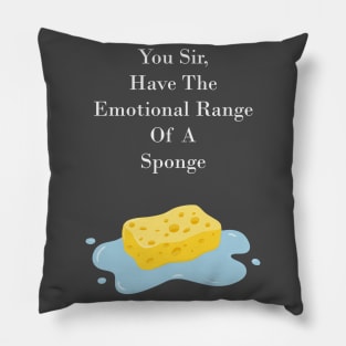 Sponge Pillow