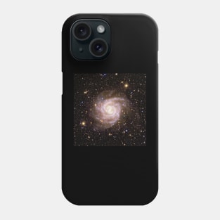 Euclid IC 342 Spiral Galaxy Phone Case