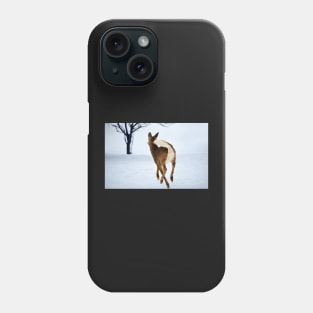 White Tailed Deer In Flight... Phone Case