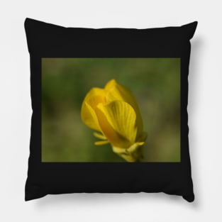 Buttercup 23 Pillow