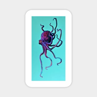 Purple Octopus on Turquoise Magnet