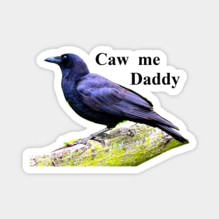 Caw Me Daddy Magnet