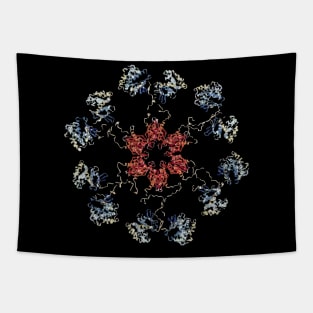 CaMKII Holoenzym Tapestry