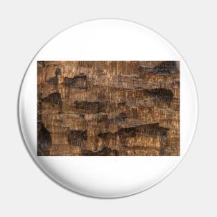 Age old wooden door with cracked paint, close up. Fragment of a rustic textured wall Pin