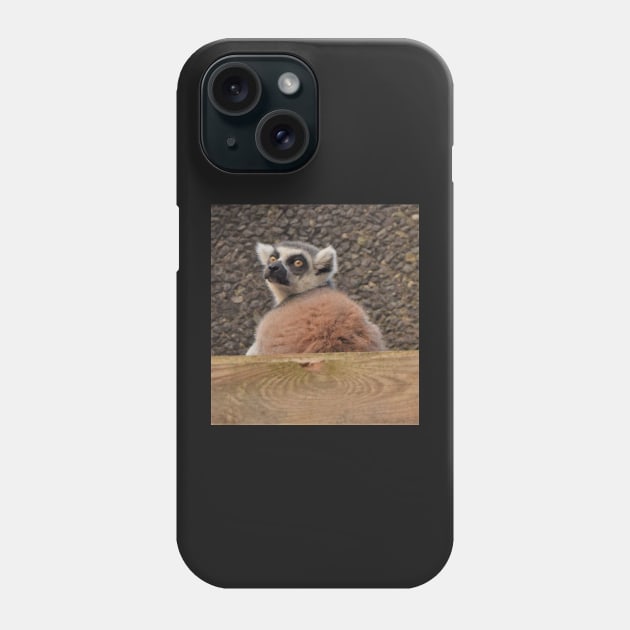 Nosey, Cheeky Ring-Tailed Lemur Phone Case by golan22may