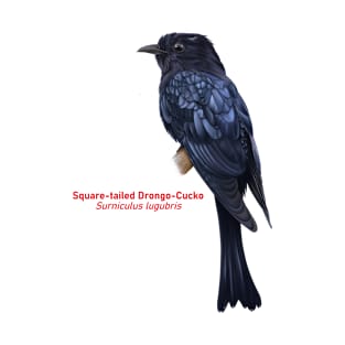 Square-tailed Drongo-Cucko | Surniculus lugubris T-Shirt