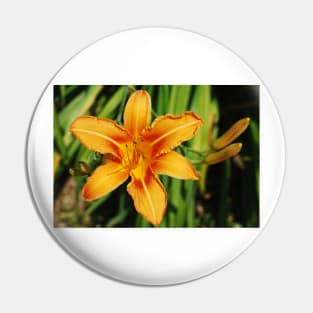 Single Orange Lily Pin