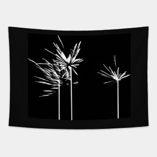 palm tree in the darkness Tapestry