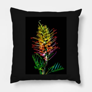 Loupy Lou Grevillea on Black Background Pillow