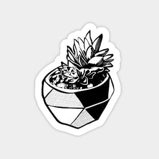 Striking Black and White Succulent Illustration Magnet