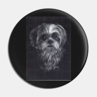 Shih-tzu Drawing Pin