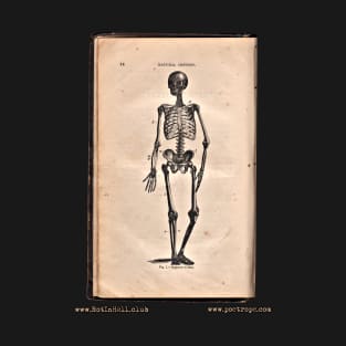 “HUMAN SKELETON” – HOOKER’S NATURAL HISTORY (1874) T-Shirt