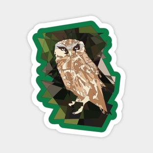 Night owl Magnet