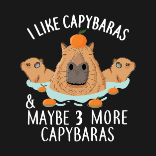 I like Capybaras and maybe 3 people Funny Baby Capybara T-Shirt