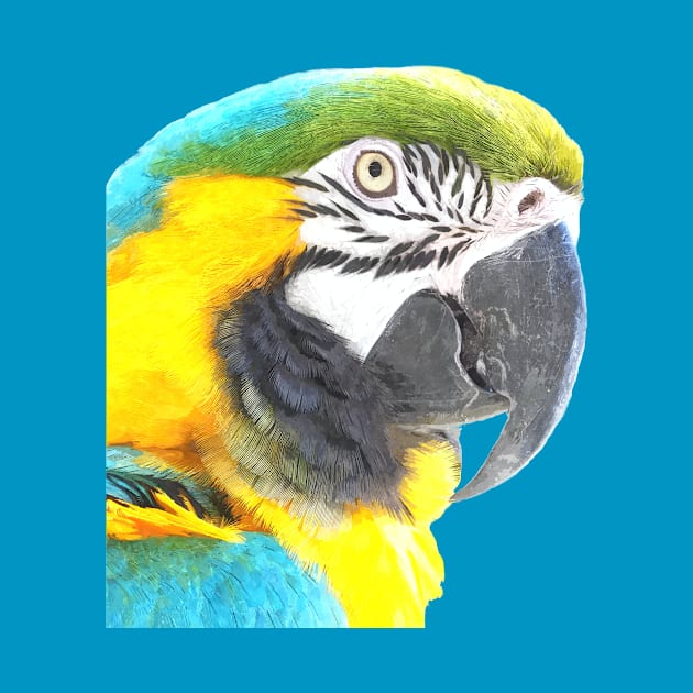 Macaw Portrait by Alemi