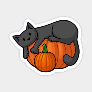 Pumpkin Cat Magnet