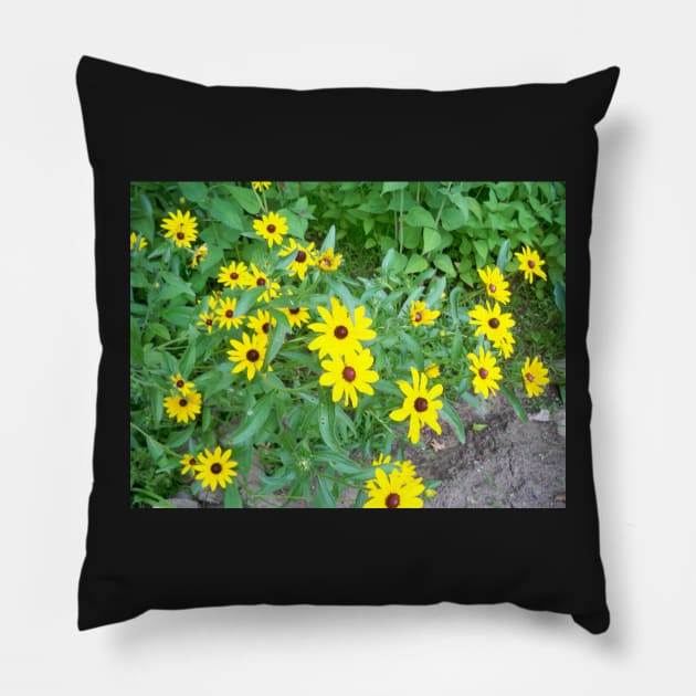 rudbeckia Pillow by Jujucreation
