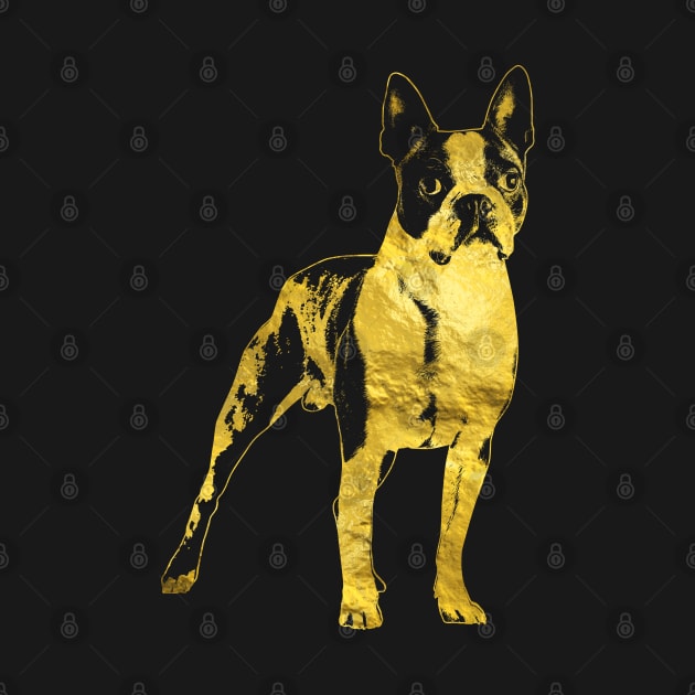 Boston Terrier dog by Nartissima