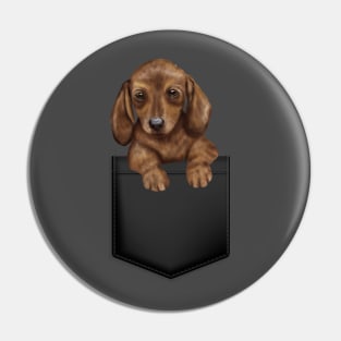 Dachshund in Pocket Pin