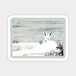 Snow Hare Magnet